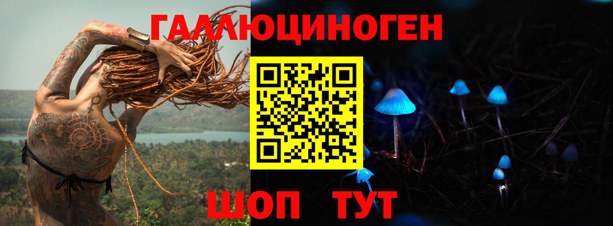 Псилоцибиновые грибы прущие грибы  Вход с VPN  Лосино-Петровский  Псилоцибиновые грибы GOLDEN TEACHER 